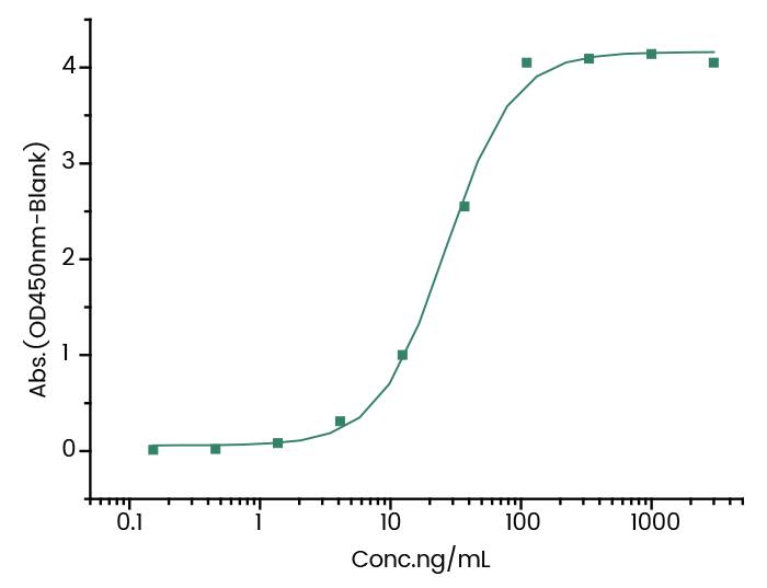 ELISA: Mertansine/DM1 Antibody (7) - Azide and BSA Free [NBP3-49160] - Immobilized Mertansine/DM1-OVA at 1 μg/mL (100 μL/well) can bind NBP3-49160, the EC50 is 26.4 ng/mL.
