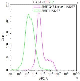 Untransfected HEK-293F cells (green line) and transfected scFv-based Anti-CD19 CAR containing a G4S linker stable cells (red line) were stained with anti-G4S linker antibody (2µg/1*106cells), washed and then followed by APC-conjugated anti-Mouse IgG Fc antibody and analyzed with flow cytometry.