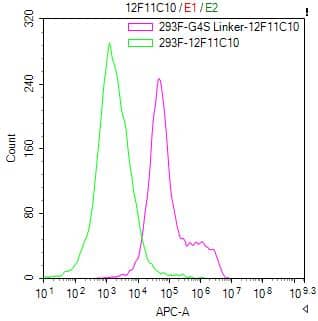 Untransfected HEK-293F cells (green line) and transfected scFv-based Anti-CD19 CAR containing a G4S linker stable cells (red line) were stained with anti-G4S linker antibody (2µg/1*106cells), washed and then followed by APC-conjugated anti-Mouse IgG Fc antibody and analyzed with flow cytometry.