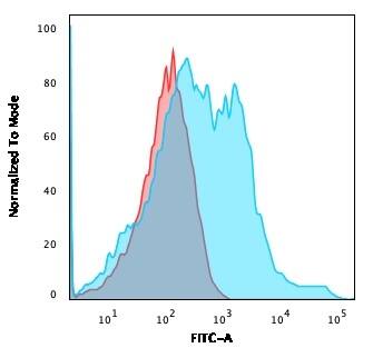 Flow Cytometric Analysis of HEK293 cells using NF-H Antibody (rNF421) - Azide and BSA Free followed by goat anti-Mouse IgG-CF488 (Blue); Isotype control (Red).