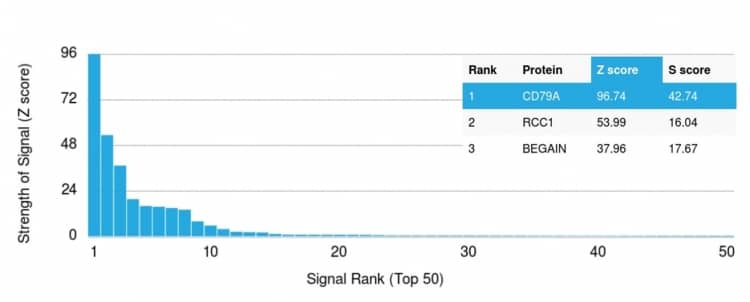 Analysis of Protein Array containing more than 19,000 full-length human proteins using CD79A Antibody (rIGA/764) - Azide and BSA Free.