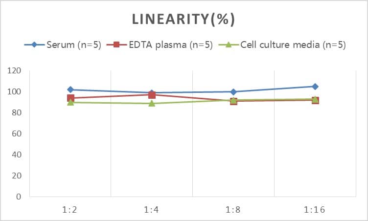 Samples were spiked with high concentrations of Rat Angiotensin 1-7, and diluted with Reference Standard & Sample Diluent to produce samples with values within the range of the assay.