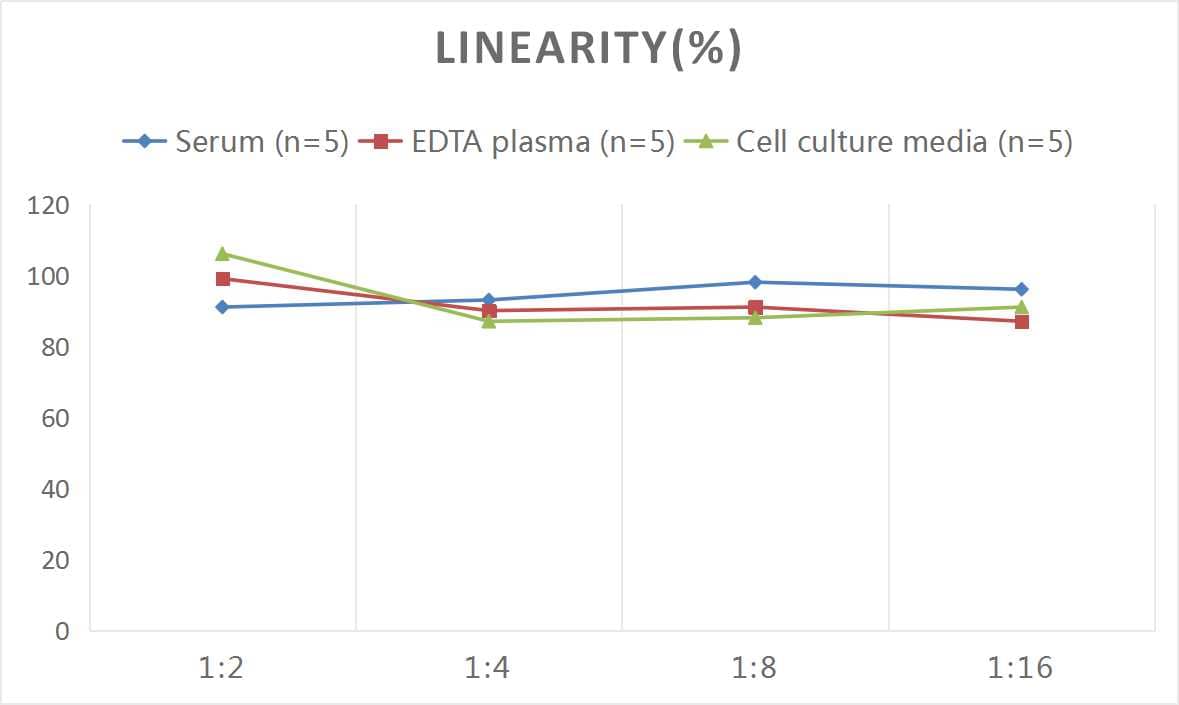 Samples were spiked with high concentrations of Mouse Dkk-3, and diluted with Reference Standard & Sample Diluent to produce samples with values within the range of the assay.
