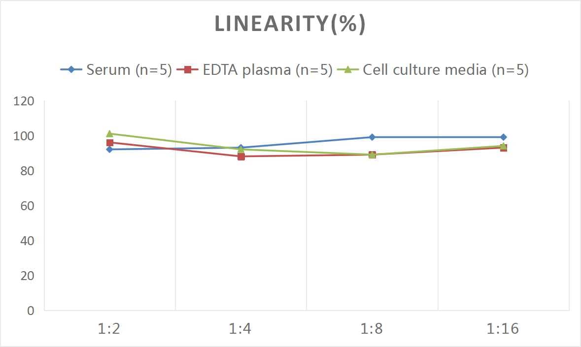 Samples were spiked with high concentrations of Mouse DNASE1, and diluted with Reference Standard & Sample Diluent to produce samples with values within the range of the assay.