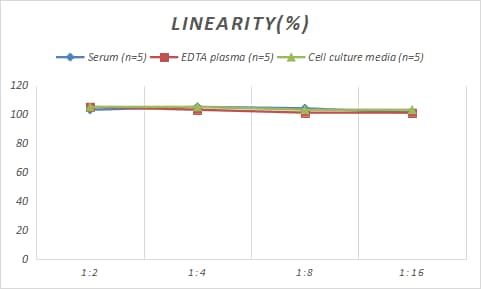 Samples were spiked with high concentrations of Sheep IGF-I/IGF-1, and diluted with Reference Standard & Sample Diluent to produce samples with values within the range of the assay.
