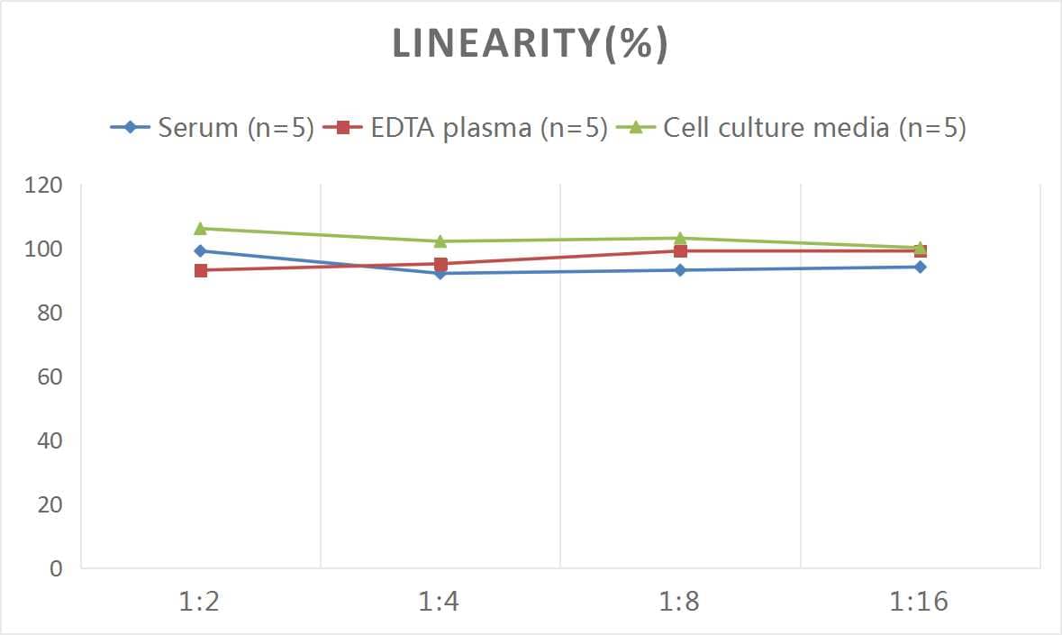 ELISA Mouse Deoxypyridinoline ELISA Kit (Colorimetric)