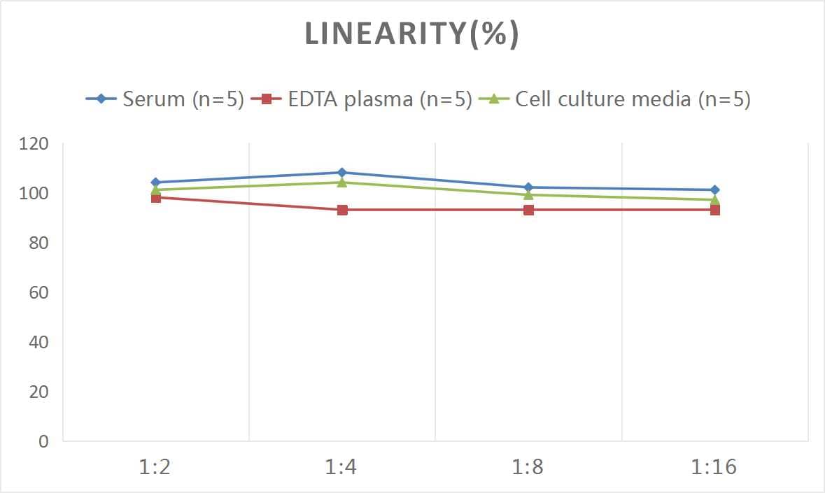 Samples were spiked with high concentrations of Rat E-Cadherin, and diluted with Reference Standard & Sample Diluent to produce samples with values within the range of the assay.