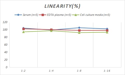 Samples were spiked with high concentrations of Rabbit CXCL16, and diluted with Reference Standard & Sample Diluent to produce samples with values within the range of the assay.