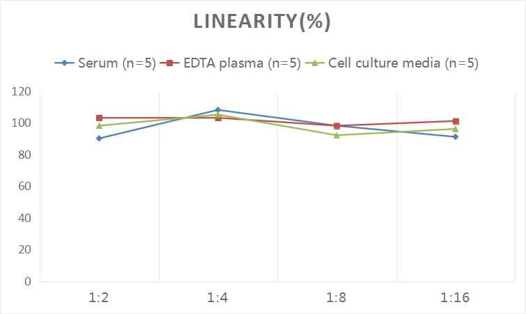 ELISA Rat Endothelin-1 ELISA Kit (Chemiluminescence)