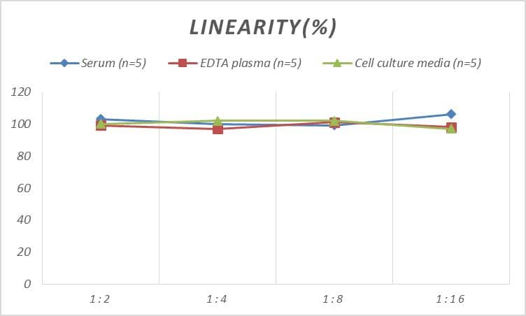 ELISA Monkey Cathepsin B ELISA Kit (Colorimetric)