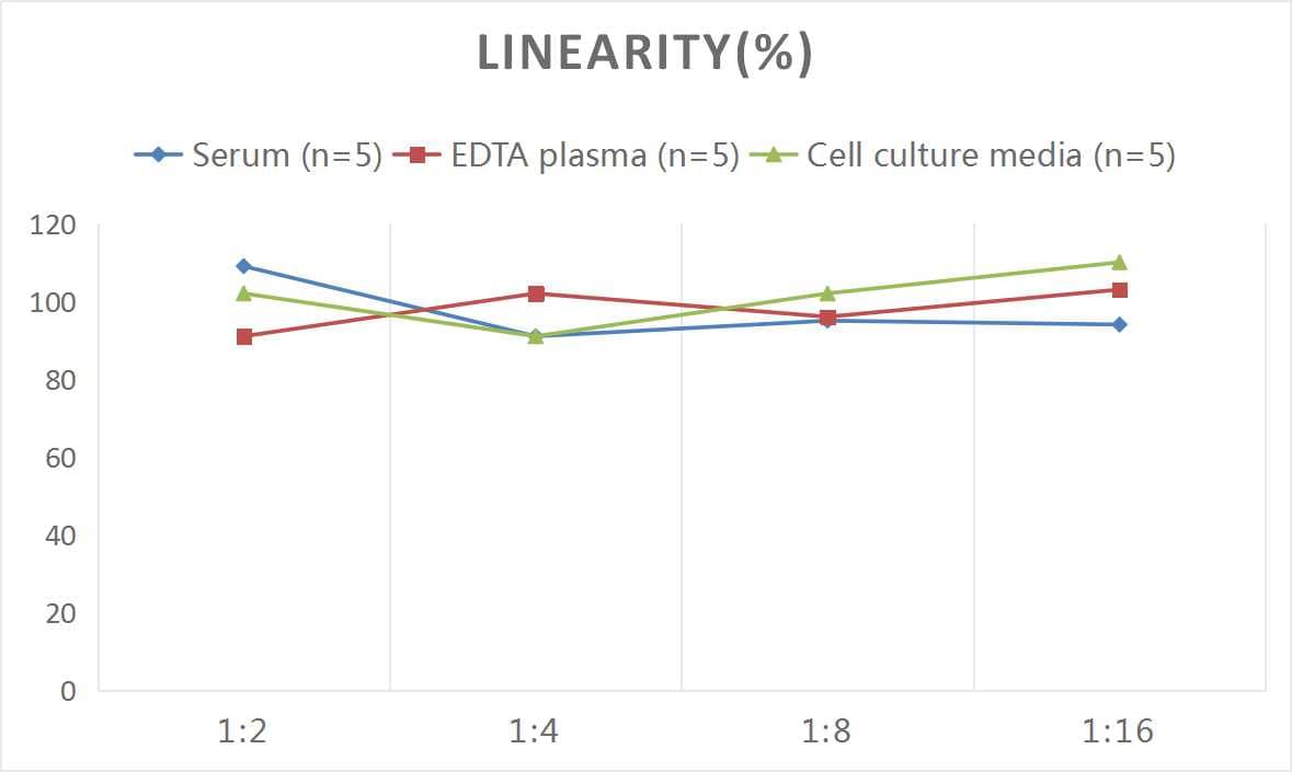 Samples were spiked with high concentrations of Mouse IgA Secretory Chain, and diluted with Reference Standard & Sample Diluent to produce samples with values within the range of the assay.