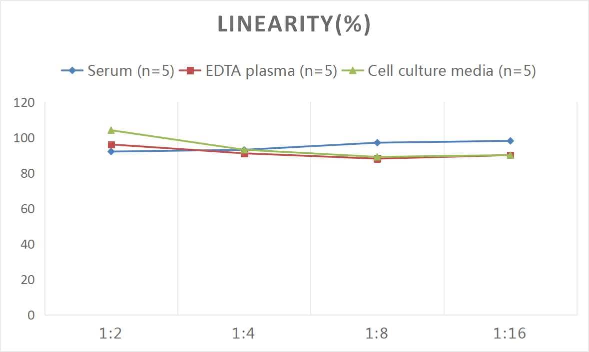 Samples were spiked with high concentrations of Human Ferritin Heavy Chain, and diluted with Reference Standard & Sample Diluent to produce samples with values within the range of the assay.