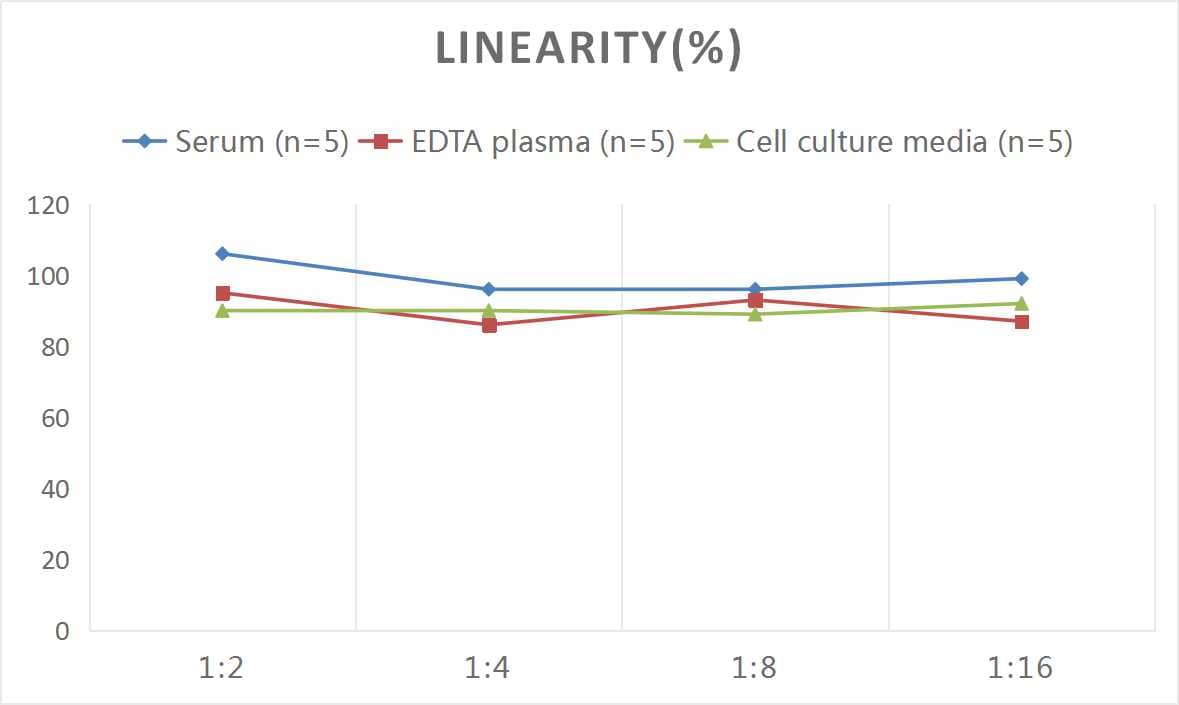 Samples were spiked with high concentrations of Rat GAL, and diluted with Reference Standard & Sample Diluent to produce samples with values within the range of the assay.