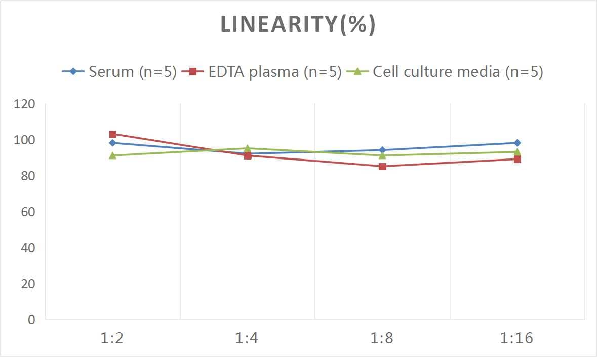 Samples were spiked with high concentrations of Rat G-CSF, and diluted with Reference Standard & Sample Diluent to produce samples with values within the range of the assay.