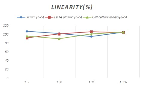 Samples were spiked with high concentrations of Rat beta Galactosidase, and diluted with Reference Standard & Sample Diluent to produce samples with values within the range of the assay.