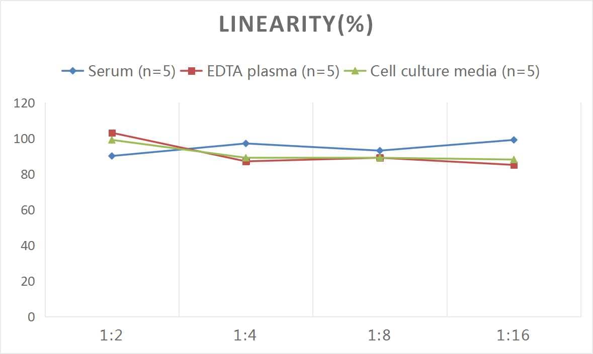 ELISA Human HMG-CoA Reductase/HMGCR ELISA Kit (Colorimetric)