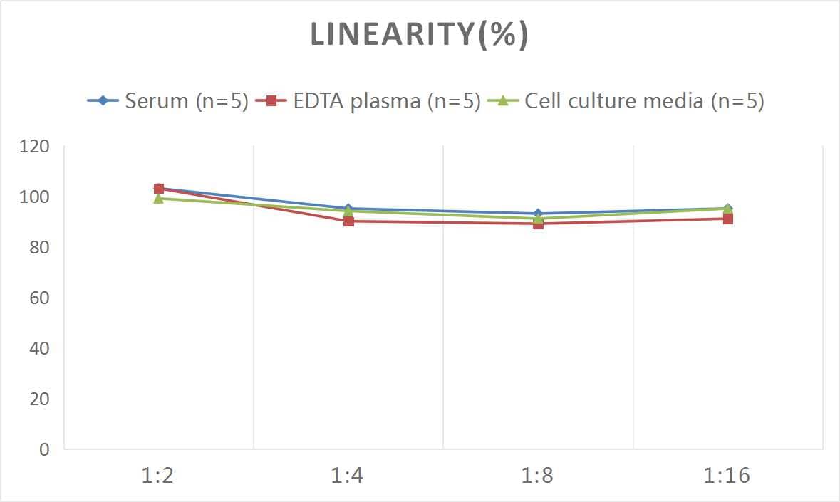 Samples were spiked with high concentrations of Rat HO-1/HMOX1/HSP32, and diluted with Reference Standard & Sample Diluent to produce samples with values within the range of the assay.
