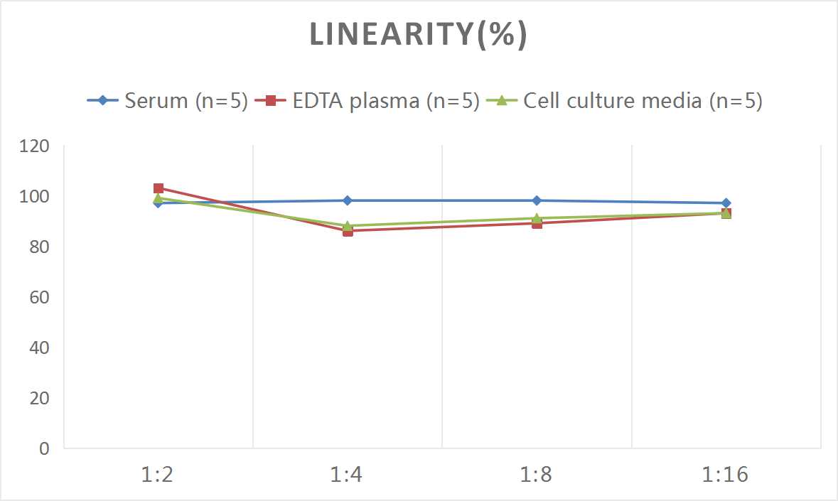 Samples were spiked with high concentrations of Mouse PTH, and diluted with Reference Standard & Sample Diluent to produce samples with values within the range of the assay.
