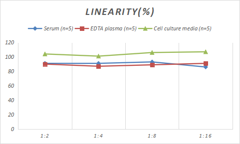 Samples were spiked with high concentrations of Rabbit PTH, and diluted with Reference Standard & Sample Diluent to produce samples with values within the range of the assay.