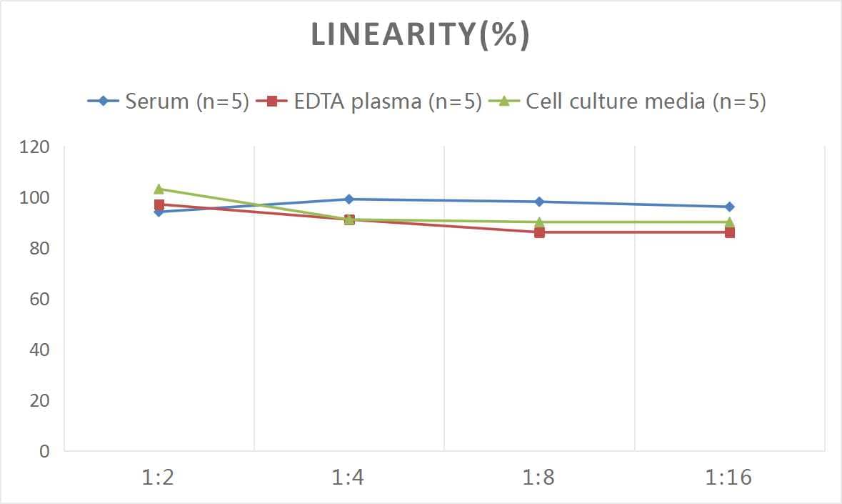 Samples were spiked with high concentrations of Mouse IRF5, and diluted with Reference Standard & Sample Diluent to produce samples with values within the range of the assay.