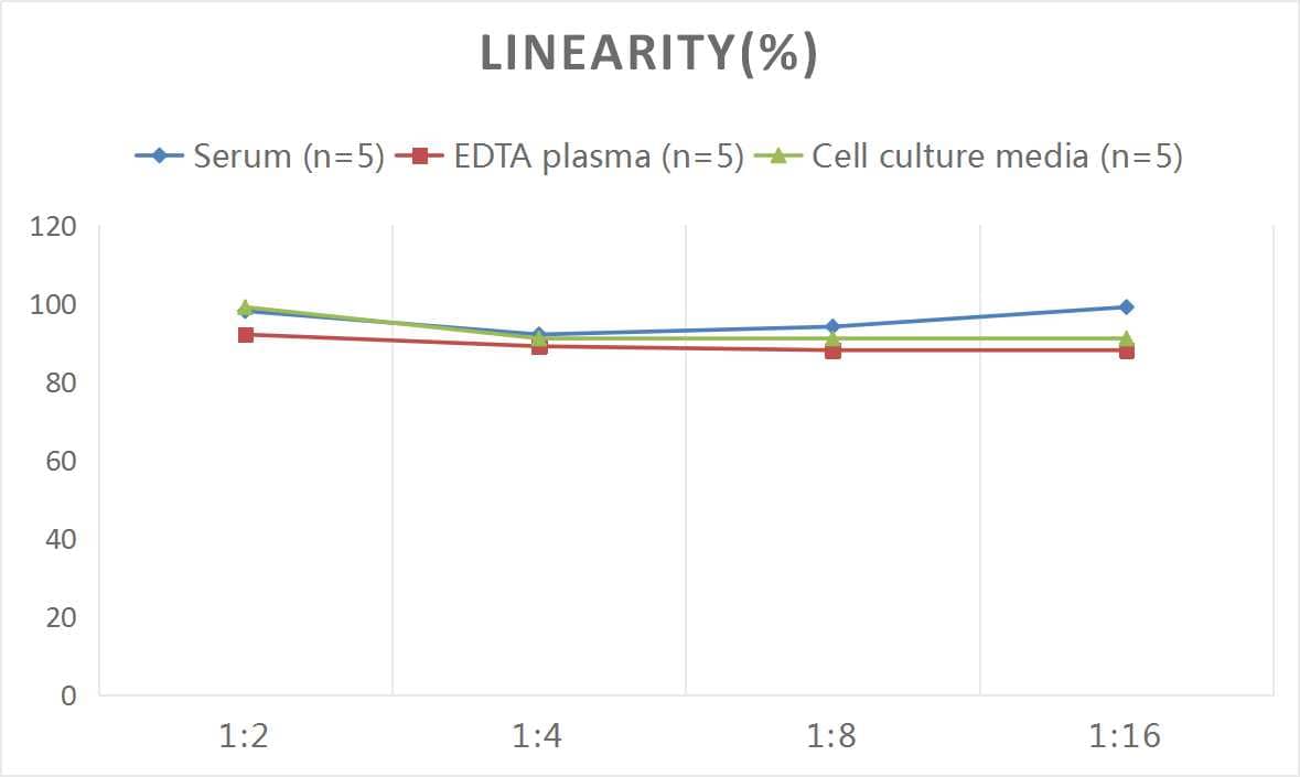 Samples were spiked with high concentrations of Mouse LAMP-1/CD107a, and diluted with Reference Standard & Sample Diluent to produce samples with values within the range of the assay.