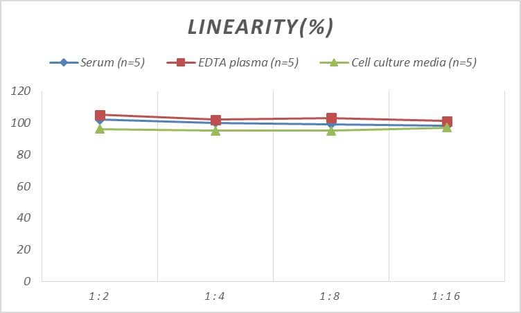 Samples were spiked with high concentrations of Monkey CCL2/JE/MCP-1, and diluted with Reference Standard & Sample Diluent to produce samples with values within the range of the assay.