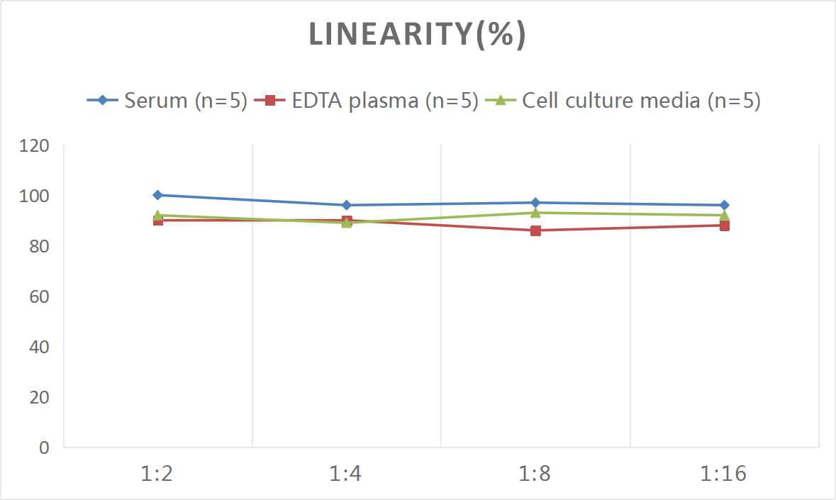 ELISA Human CARD12 ELISA Kit (Colorimetric)