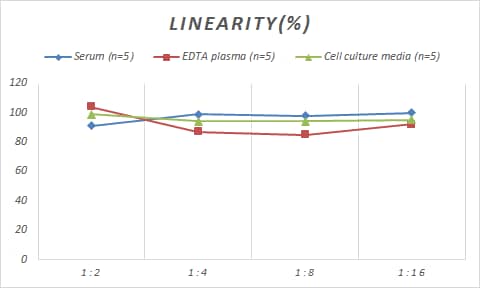 ELISA Mouse Ornithine Decarboxylase ELISA Kit (Colorimetric)