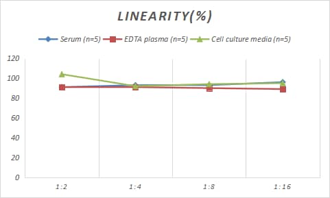 ELISA Rat Ornithine Decarboxylase ELISA Kit (Colorimetric)