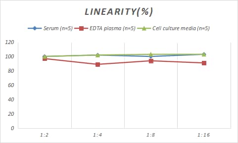 ELISA Rat Pappalysin-1/PAPP-A ELISA Kit (Colorimetric)