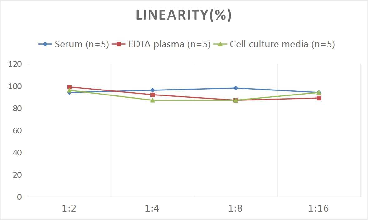 ELISA Human PEBP4 ELISA Kit (Colorimetric)