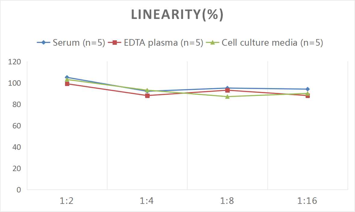 ELISA Rat COX-2 ELISA Kit (Colorimetric)