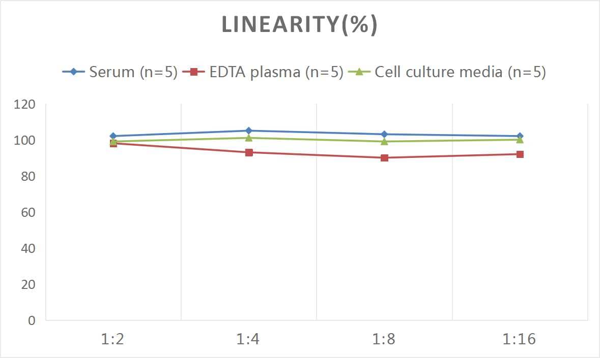 Samples were spiked with high concentrations of Rat TRANCE/TNFSF11/RANK L, and diluted with Reference Standard & Sample Diluent to produce samples with values within the range of the assay.
