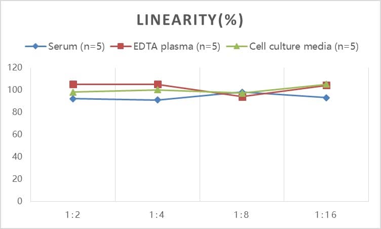 ELISA Rat Serum Amyloid A ELISA Kit (Colorimetric)