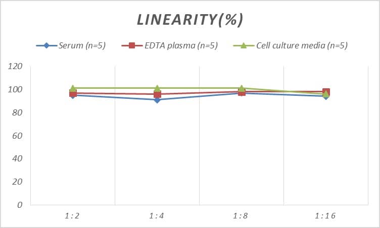 ELISA Monkey Serum Amyloid A ELISA Kit (Colorimetric)