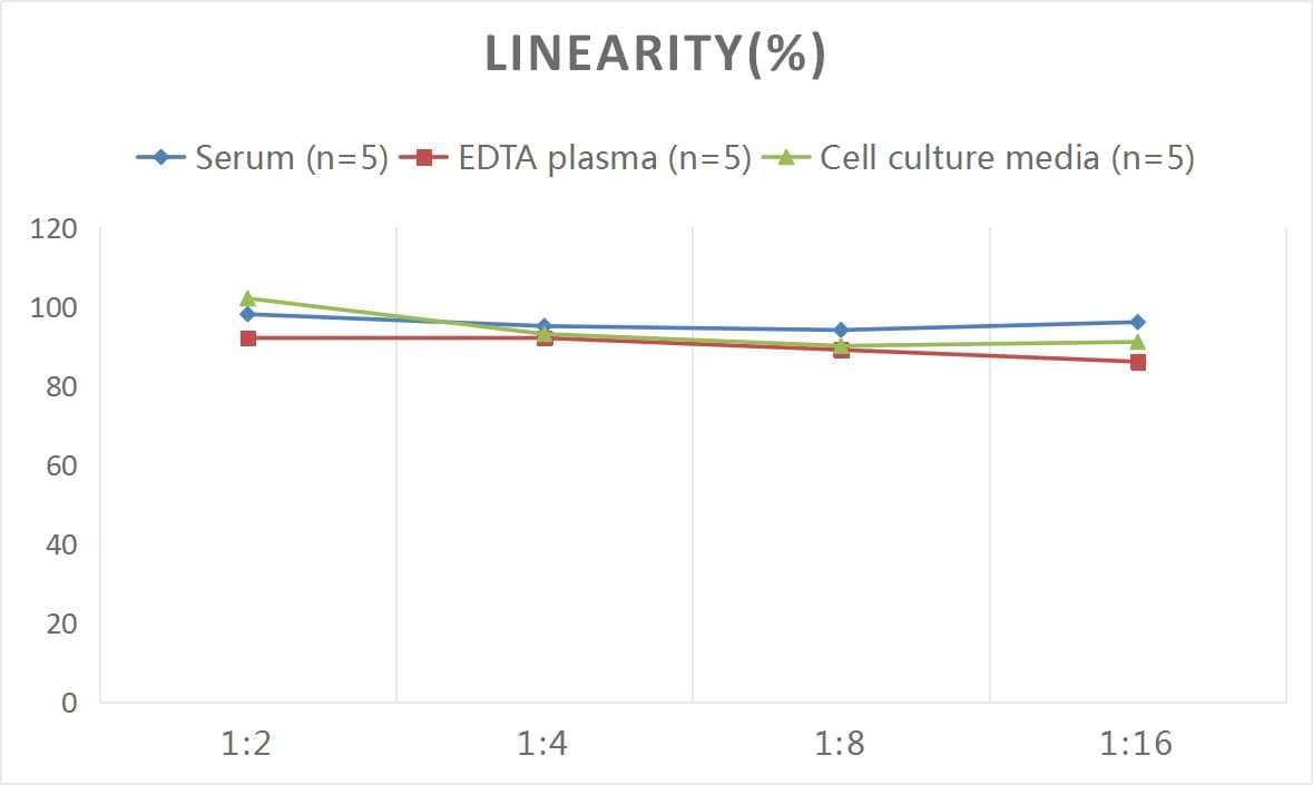 ELISA Human SCUBE1 ELISA Kit (Colorimetric)