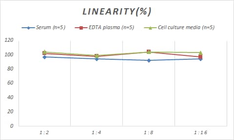 ELISA Monkey CXCL12/SDF-1 ELISA Kit (Colorimetric)