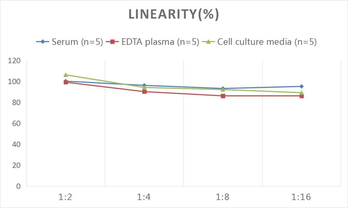 ELISA Human Semaphorin 4D/CD100 ELISA Kit (Colorimetric)