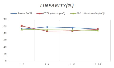 ELISA Human SESN1 ELISA Kit (Colorimetric)