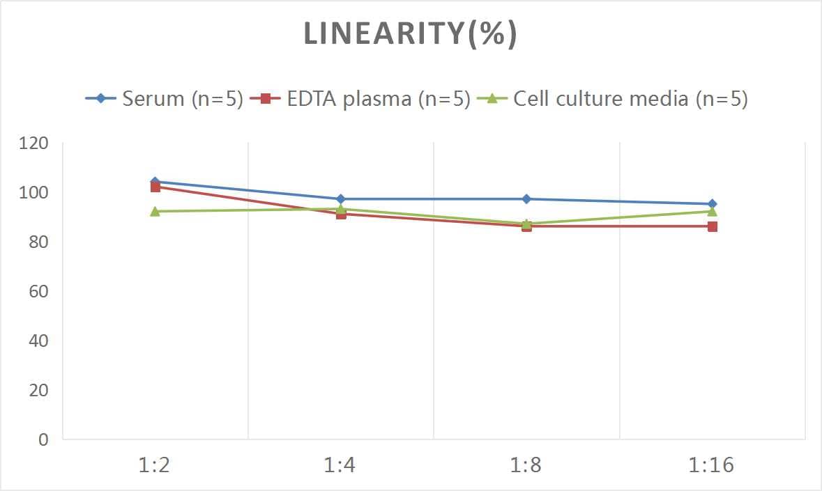 Samples were spiked with high concentrations of Mouse SH3YL1, and diluted with Reference Standard & Sample Diluent to produce samples with values within the range of the assay.