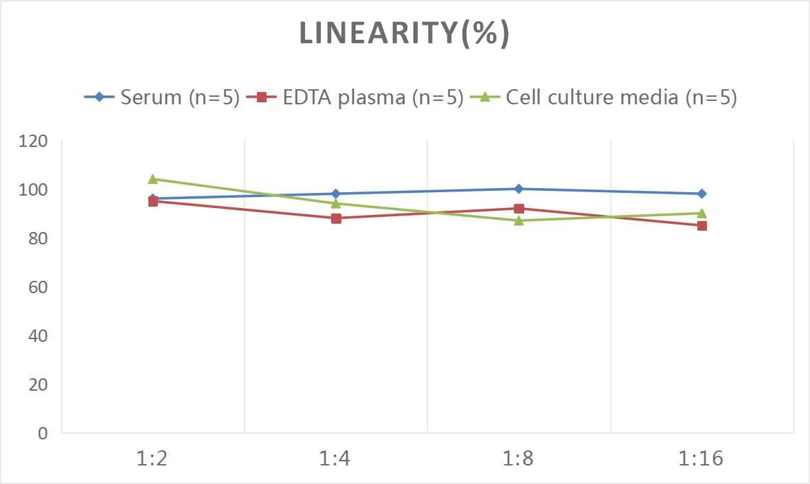 Samples were spiked with high concentrations of Rat SHBG, and diluted with Reference Standard & Sample Diluent to produce samples with values within the range of the assay.