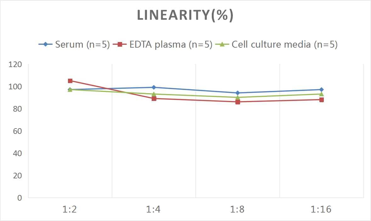 Samples were spiked with high concentrations of Rat IgA Secretory Chain, and diluted with Reference Standard & Sample Diluent to produce samples with values within the range of the assay.