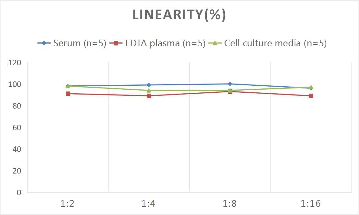 Samples were spiked with high concentrations of Monkey CCL17/TARC, and diluted with Reference Standard & Sample Diluent to produce samples with values within the range of the assay.