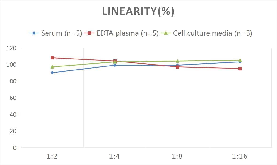 Samples were spiked with high concentrations of Mouse TGF-alpha, and diluted with Reference Standard & Sample Diluent to produce samples with values within the range of the assay.