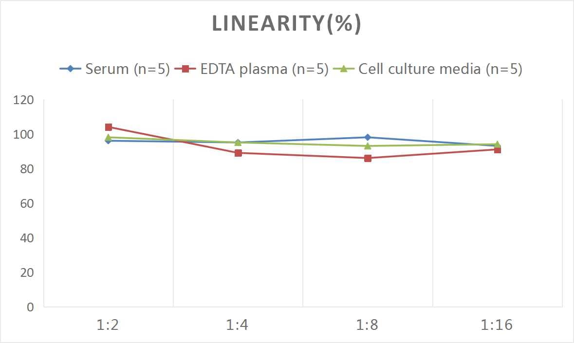 Samples were spiked with high concentrations of Mouse TGF-alpha, and diluted with Reference Standard & Sample Diluent to produce samples with values within the range of the assay.
