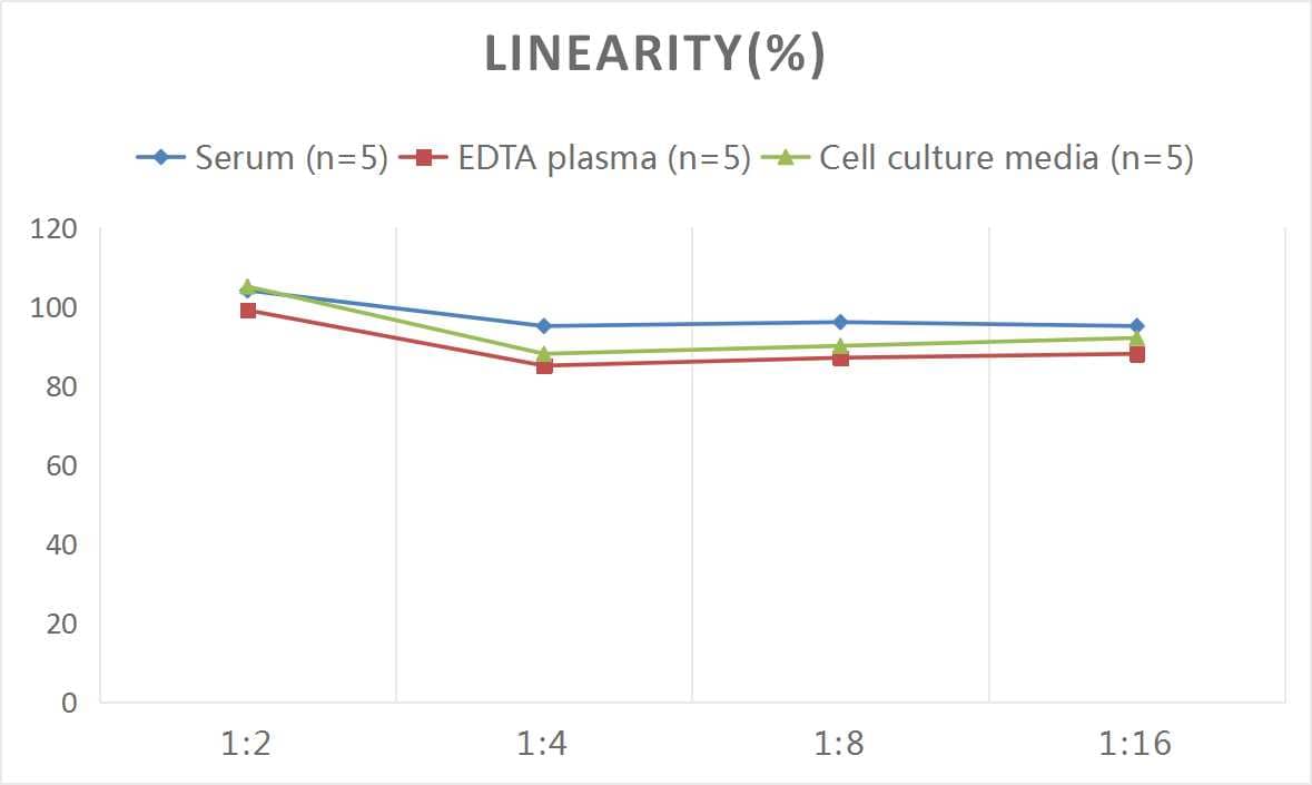 Samples were spiked with high concentrations of Mouse TGF-beta 3, and diluted with Reference Standard & Sample Diluent to produce samples with values within the range of the assay.