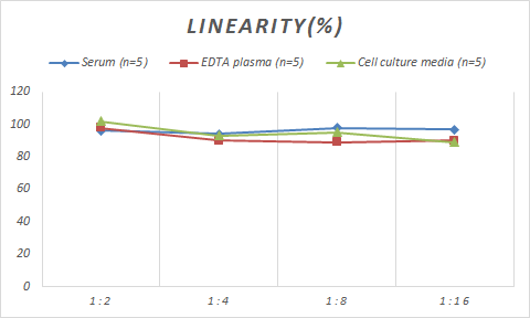 ELISA Mouse Transglutaminase 2/TGM2 ELISA Kit (Colorimetric)