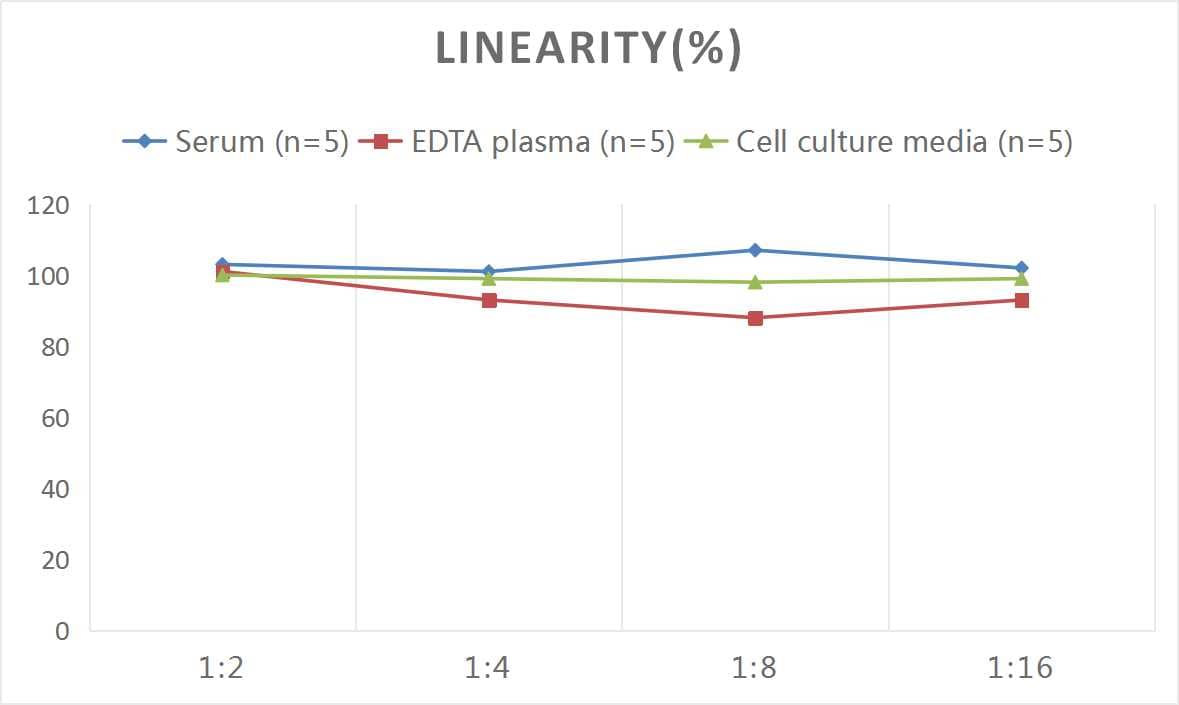 Samples were spiked with high concentrations of Rat TIMP-2, and diluted with Reference Standard & Sample Diluent to produce samples with values within the range of the assay.