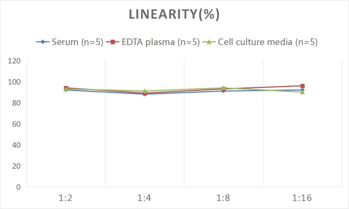 ELISA Monkey TL1A/TNFSF15 ELISA Kit (Colorimetric)