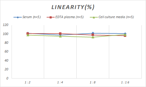 ELISA Monkey E6AP/UBE3A ELISA Kit (Colorimetric)
